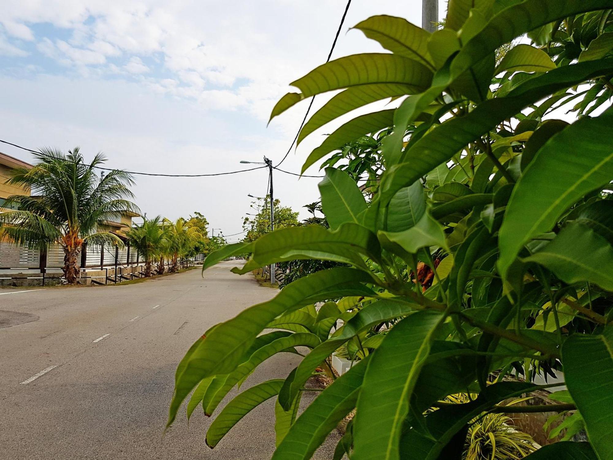 Siantan In Paya Rumput Near Std Hang Jebat, Sg Udang & Uitm Lendu Malacca Ngoại thất bức ảnh